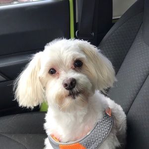 Meet your Posher, Melanie